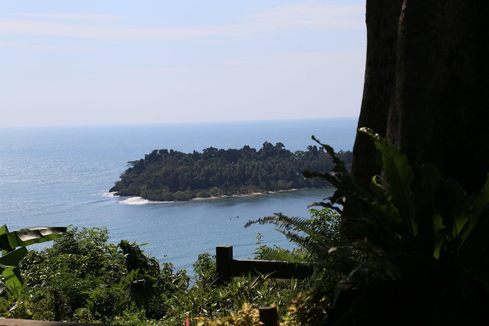 Insel zwischen Bäumen